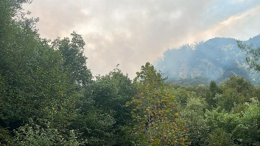 Hatay'ın Dörtyol ilçesinde ormanlık alanda yangın çıktı