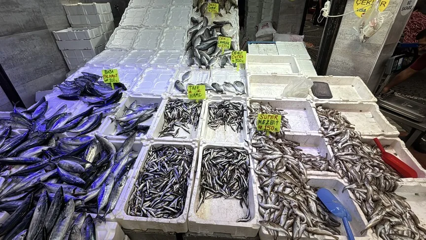 Karadeniz'de av sezonunda balık bolluğu tezgahlara yansıdı